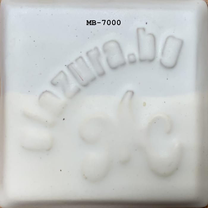 MB7000_big.jpg
